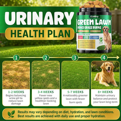 Kinpur Pet Care digestive enzymes and cranberry dog bladder health chews.