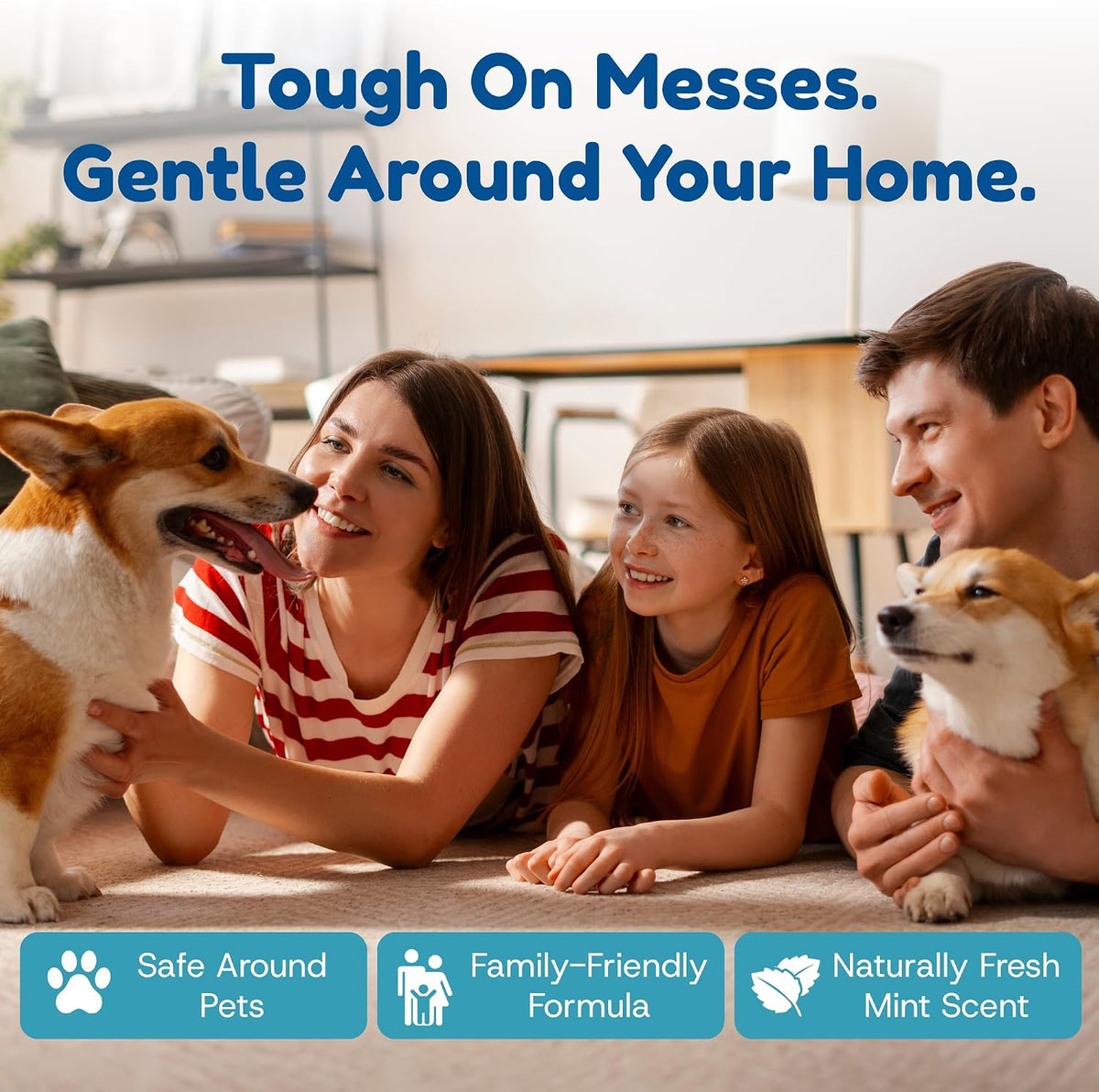 Authentic USA imported pet stain cleaner packaging details