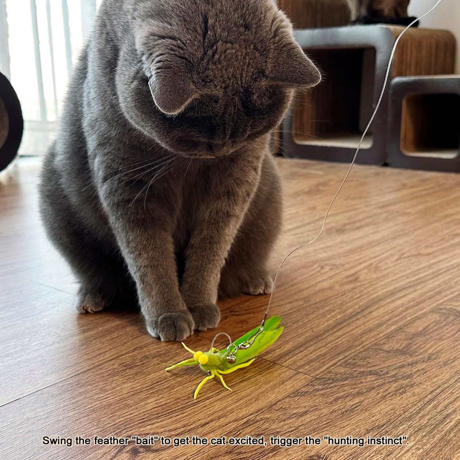 High-quality natural feather wings on the TTcat grasshopper cat wand attachments.