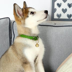 Ten piece pack of lightweight cat collar tracking bells spread out evenly.