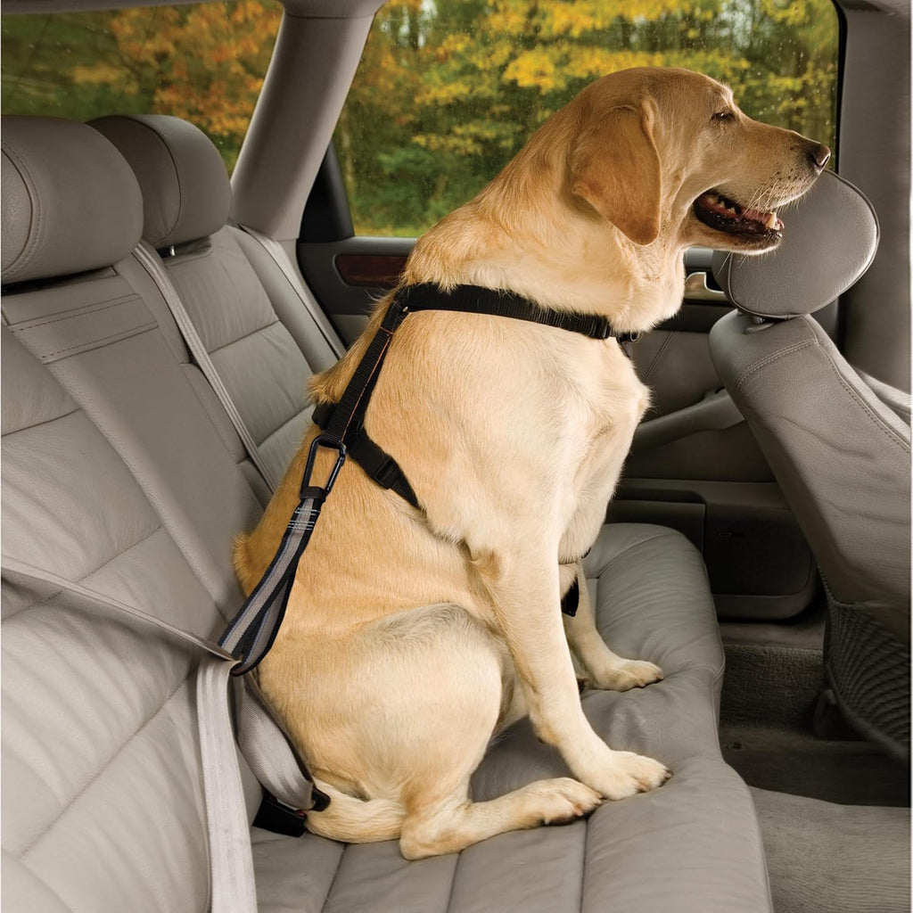 Close up of Kurgo arborist-grade carabiner clip on dog safety tether
