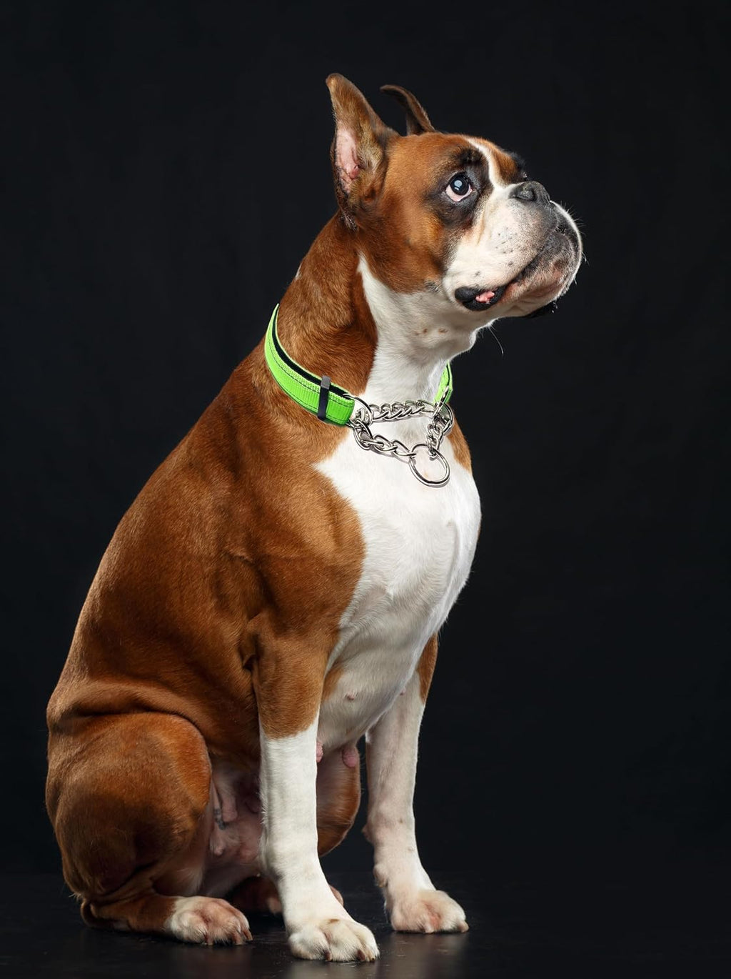 Adjustable red no pull training collar for extra large dogs emphasizing the durable metal O rings.