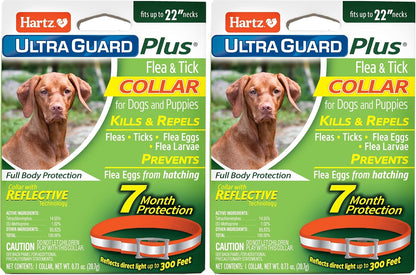 Hartz UltraGuard Plus protective collar for puppies