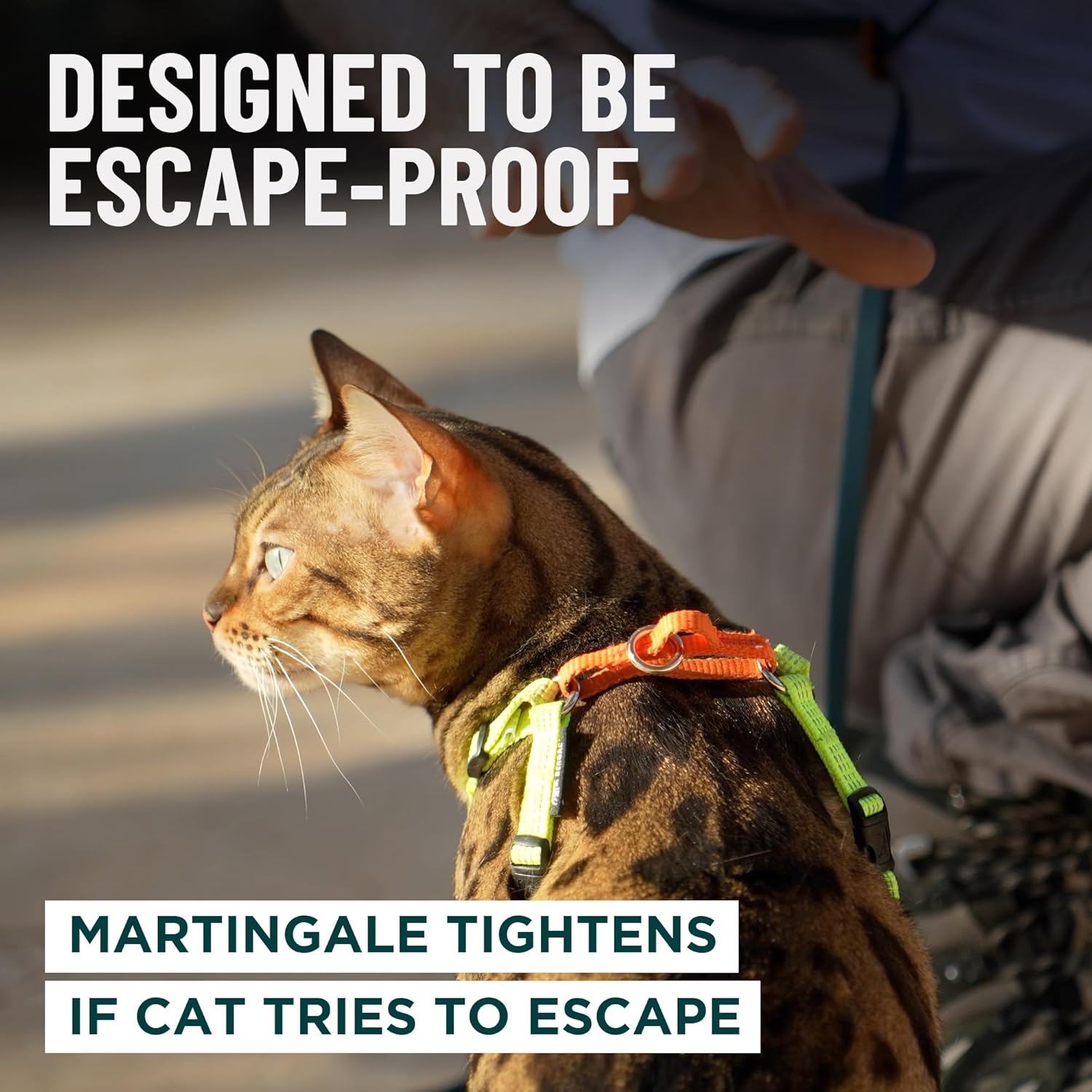 Escape proof kitten harness with adjustable neck cord stopper view