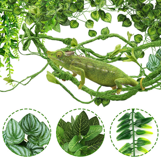 Close up of flexible bendable jungle vine for reptile terrariums.