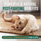 Premium TropiClean natural flea and tick gentle cat shampoo details