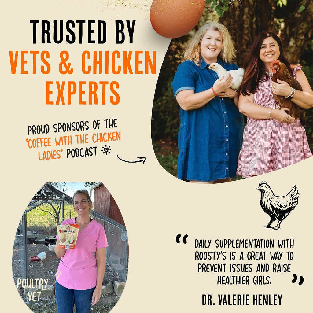 Healthy backyard flock in a coop environment with egg booster product.