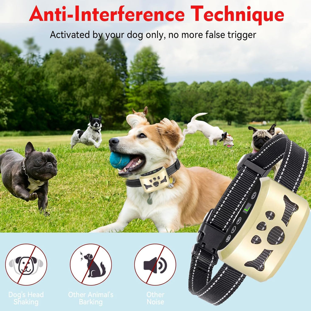 Close up of BXQ bark collar sensitivity settings