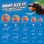 Chuckit! Ultra Ball used for outdoor dog play