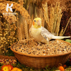 Premium Parrot Food| Protein-Rich Low-Fat Formula | Cockatiel, Conure, Lovebird, Quaker, Parrotlet | No Corn, Soy, Peanuts | Gourmet Whole Grains & Seeds | Daily Maintenance Blend (1 lb) - Image 8
