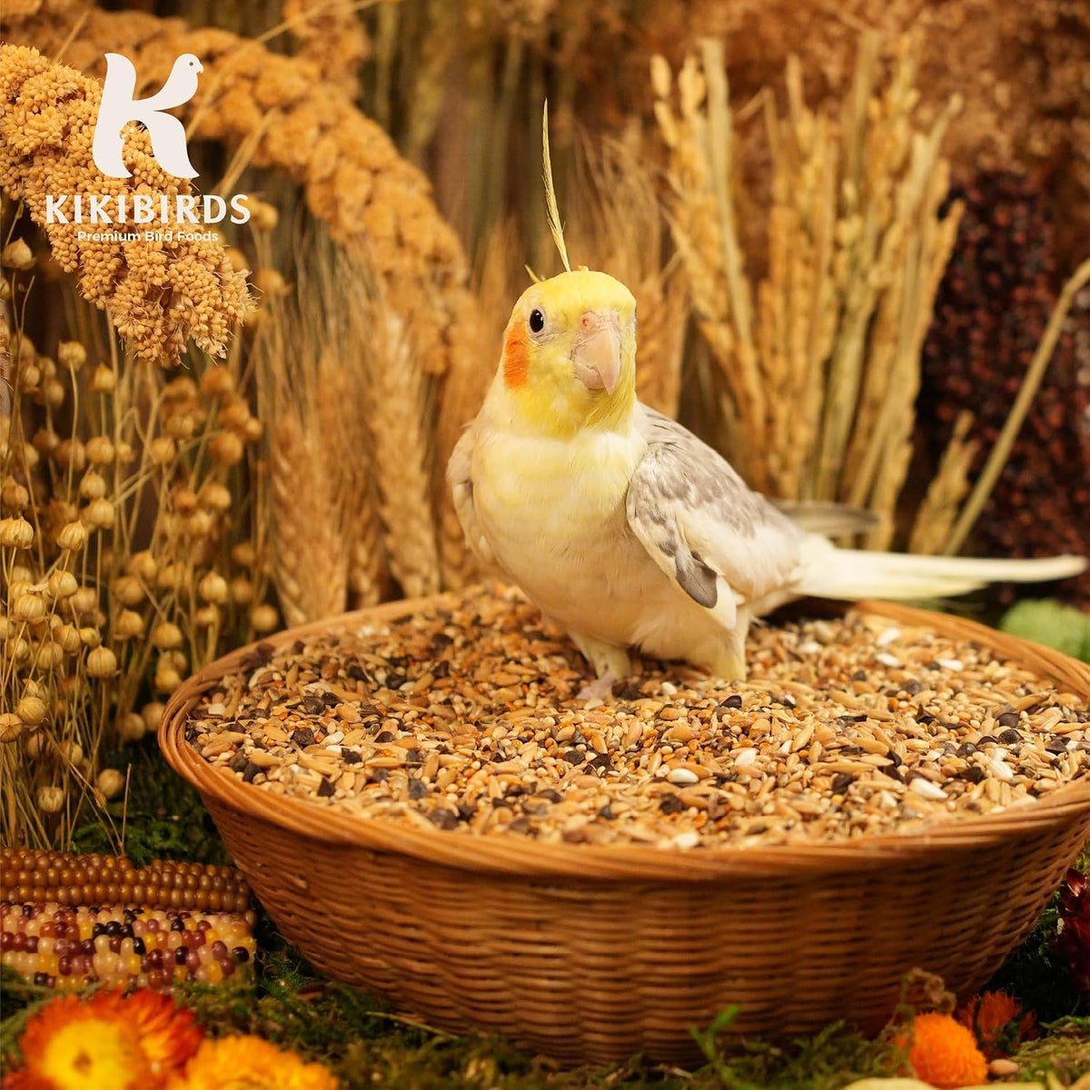 Premium Parrot Food| Protein-Rich Low-Fat Formula | Cockatiel, Conure, Lovebird, Quaker, Parrotlet | No Corn, Soy, Peanuts | Gourmet Whole Grains & Seeds | Daily Maintenance Blend (1 lb) - Image 8