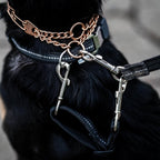 Herm Sprenger dog leash safety strap metal hardware detail