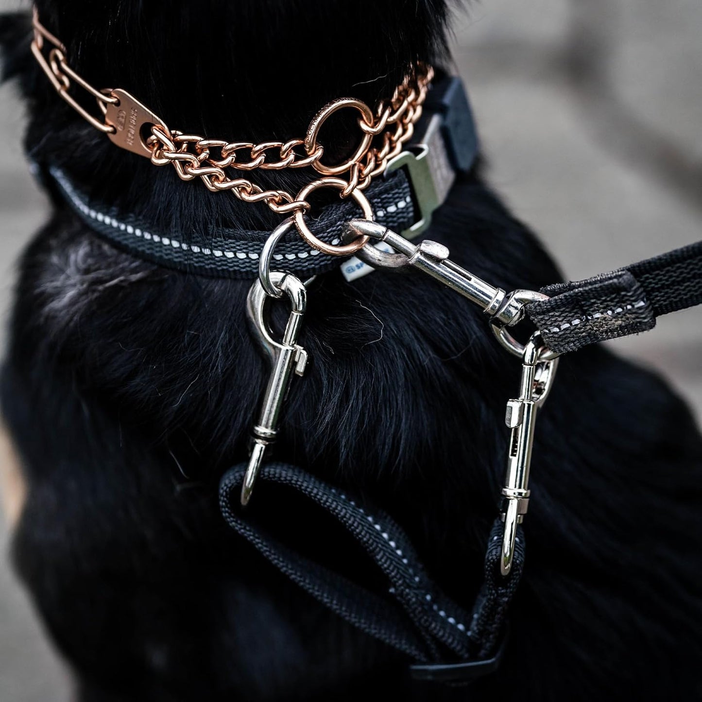 Herm Sprenger dog leash safety strap metal hardware detail