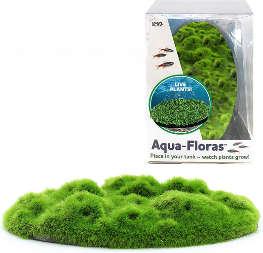 Penn-Plax Aqua Flora Moss Patch front view of living resin aquarium decoration.