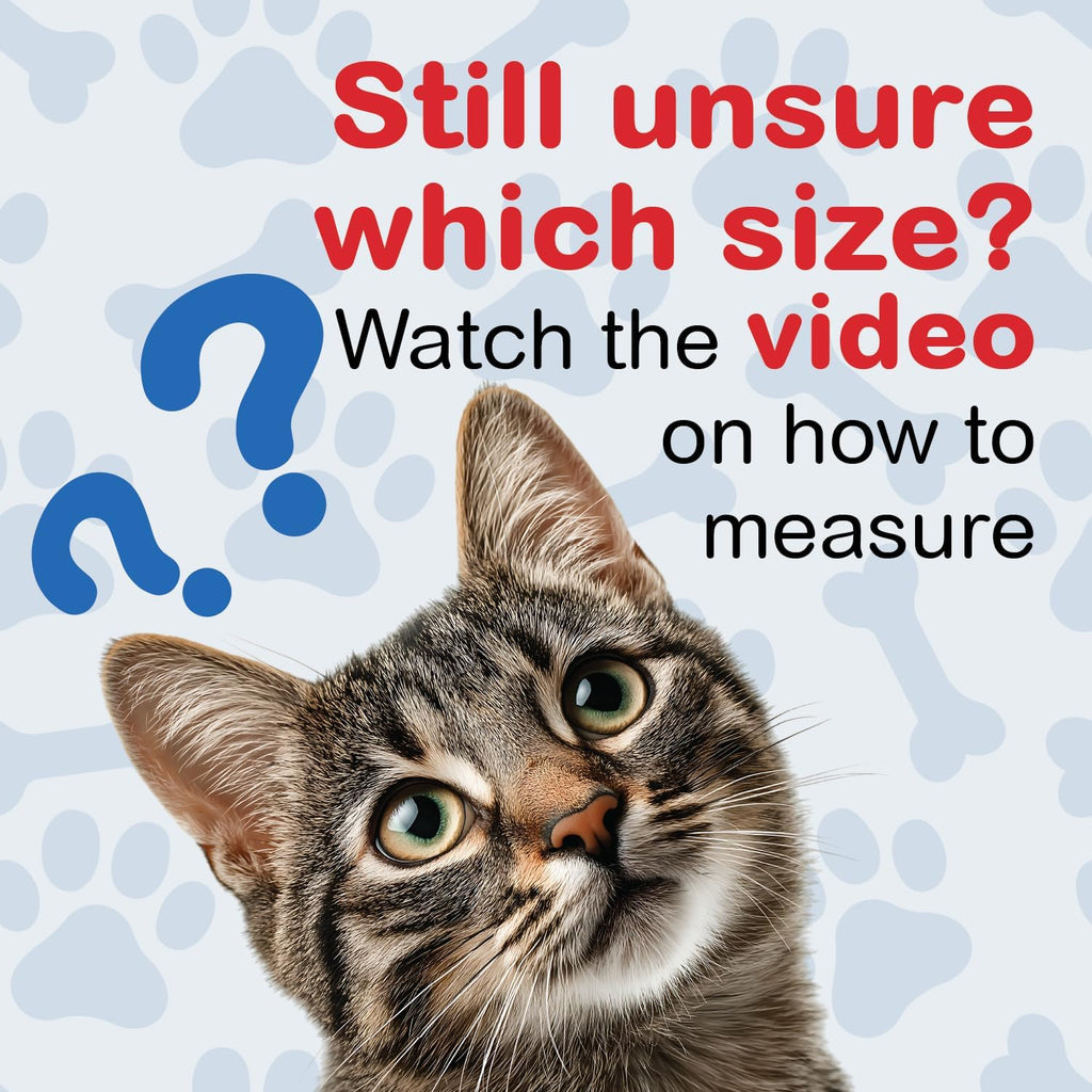 OrthoVet feline leg brace with adjustable straps