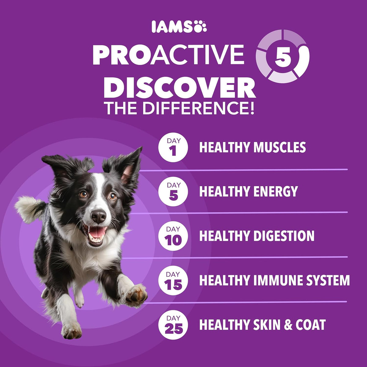 4.5 Pound bag of IAMS real chicken dry dog food packaging