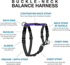 Blue-9 buckle-neck balance harness front view