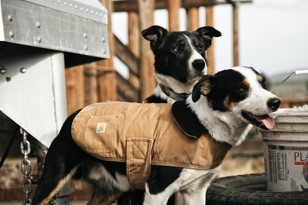 Quilted nylon lining inside Carhartt insulated dog jacket