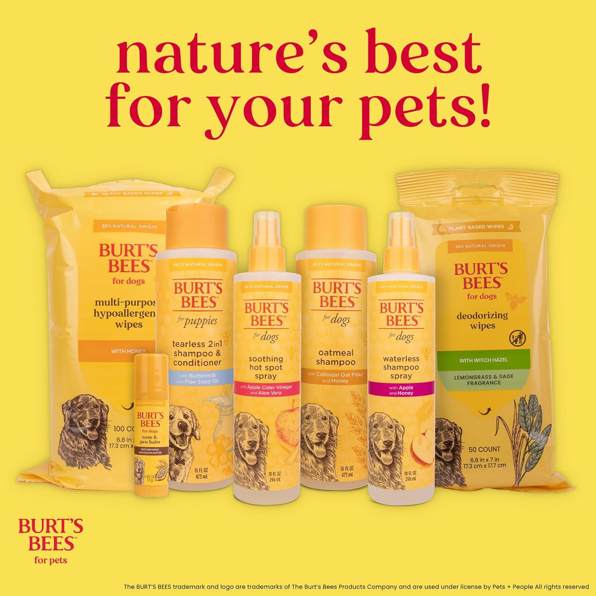 Burt's Bees cat slicker brush flat lay on neutral background
