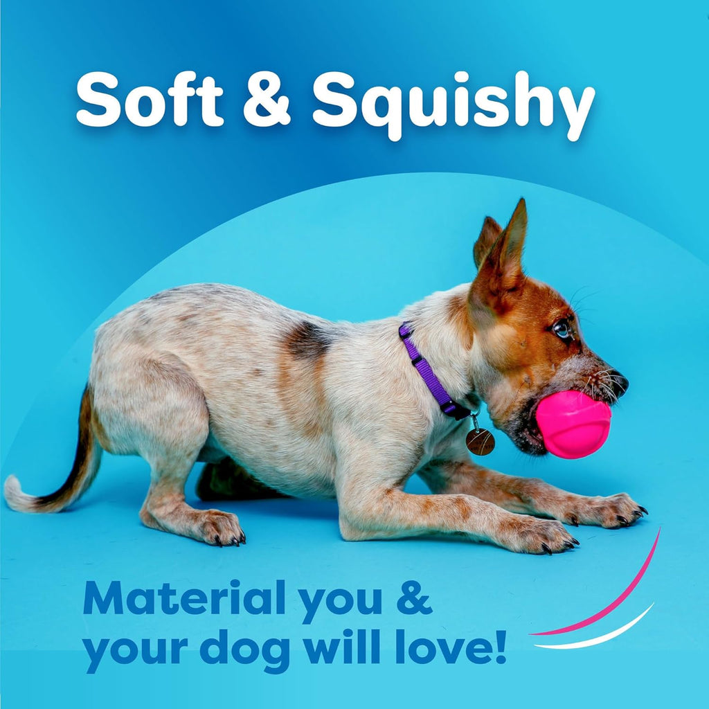 Hartz bacon scented interactive pet ball three count pack displayed on a plain white background.