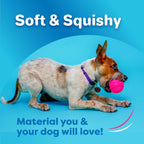 Hartz bacon scented interactive pet ball three count pack displayed on a plain white background.