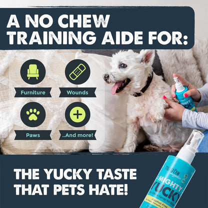 Educational graphic showing Mighty Paw spray usage on dog paws