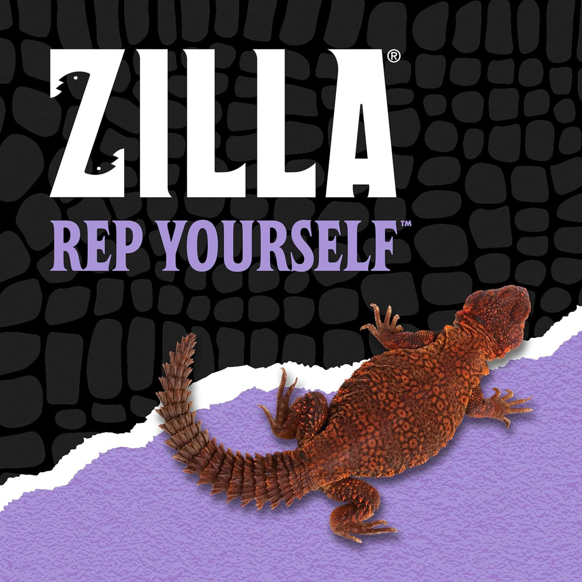 Zilla herbivore medley diet moistened with water for reptile feeding