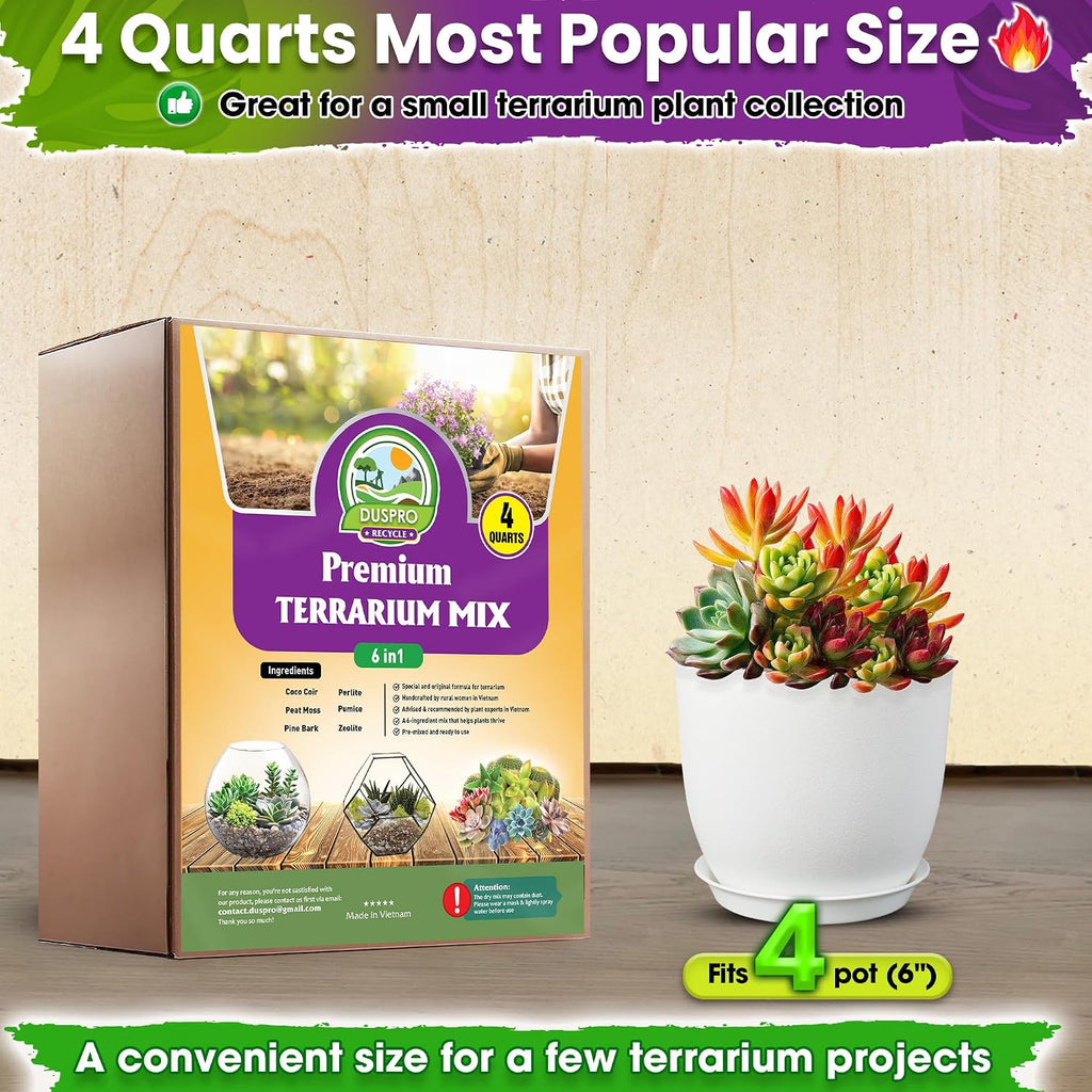 Tropical plants and vibrant green moss thriving inside a closed glass container using premium handcrafted substrate