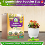 Tropical plants and vibrant green moss thriving inside a closed glass container using premium handcrafted substrate