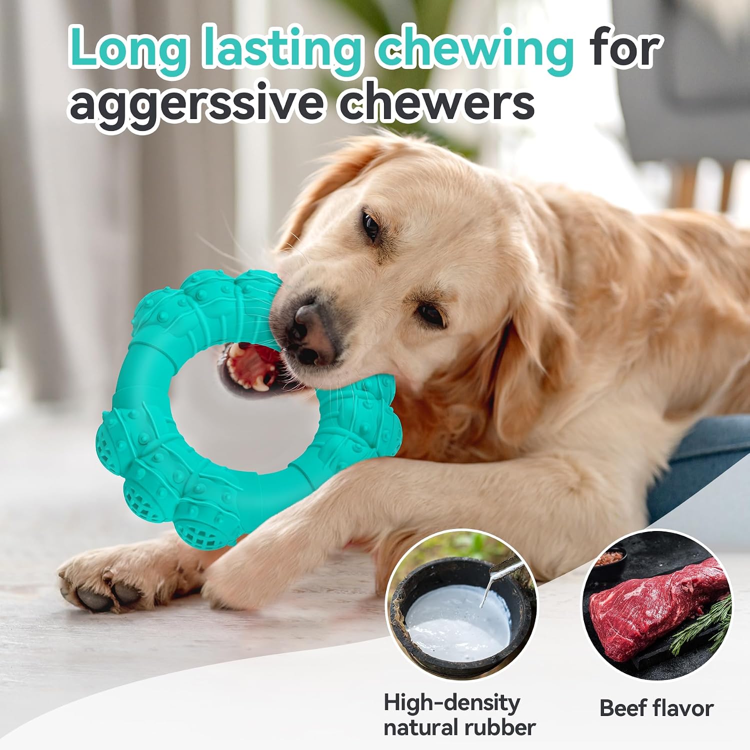 Large breed dog playing with beef flavored chew ring