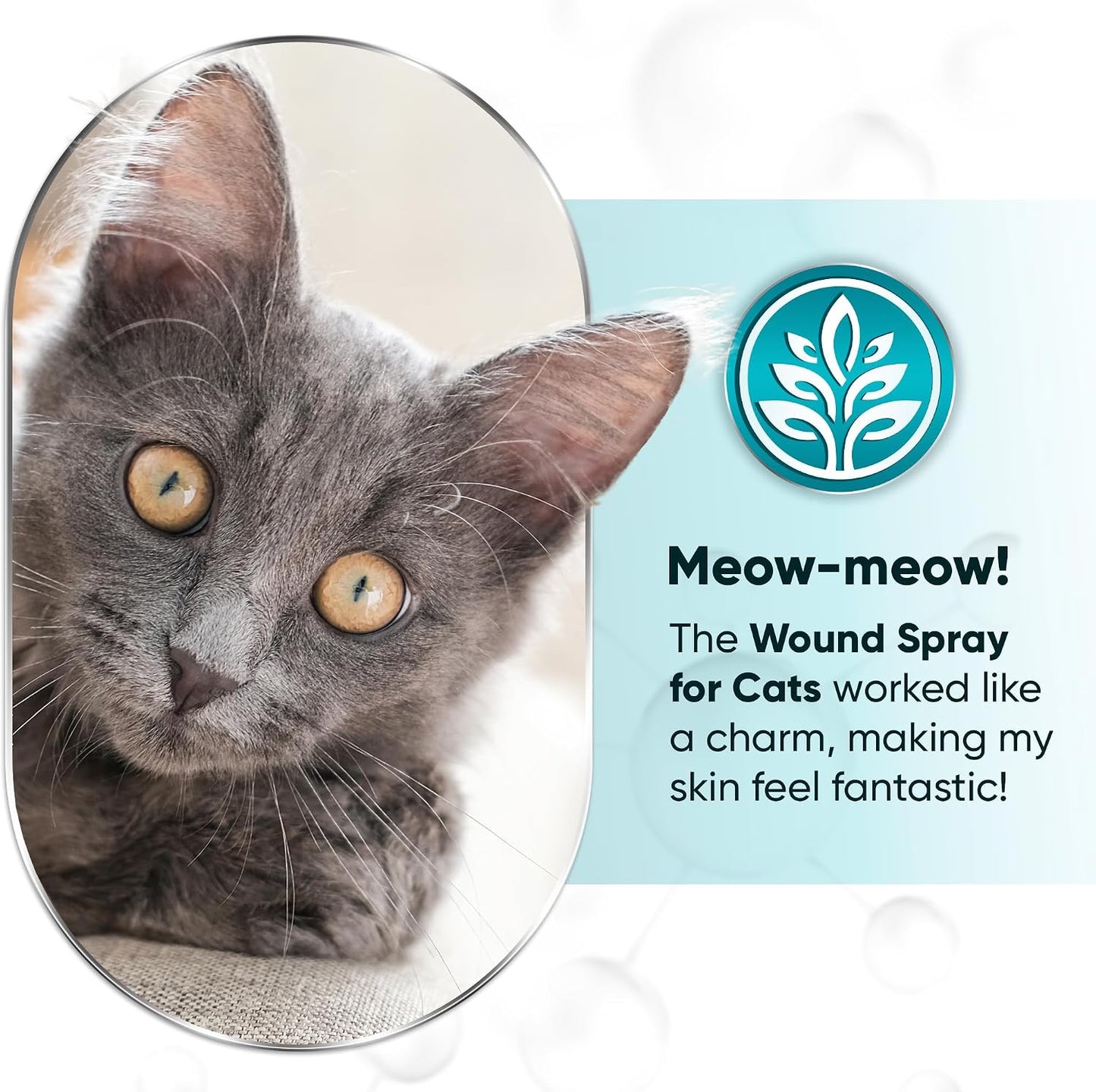 Gentle kitten and adult cat wound spray ingredient label view