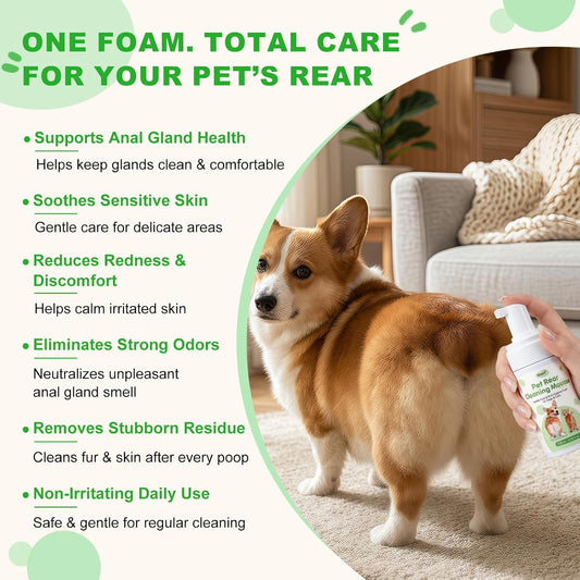 Oivolii no rinse deodorizing foam pumped onto a grooming cloth for pet hygiene