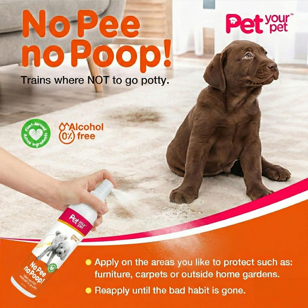 Zooflair pet potty training aid for Indian pet owners