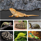 Hoplaep bearded dragon tank mat laid out flat