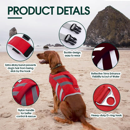 Kuoser high flotation dog swimsuit showing the durable metal leash attachment D ring