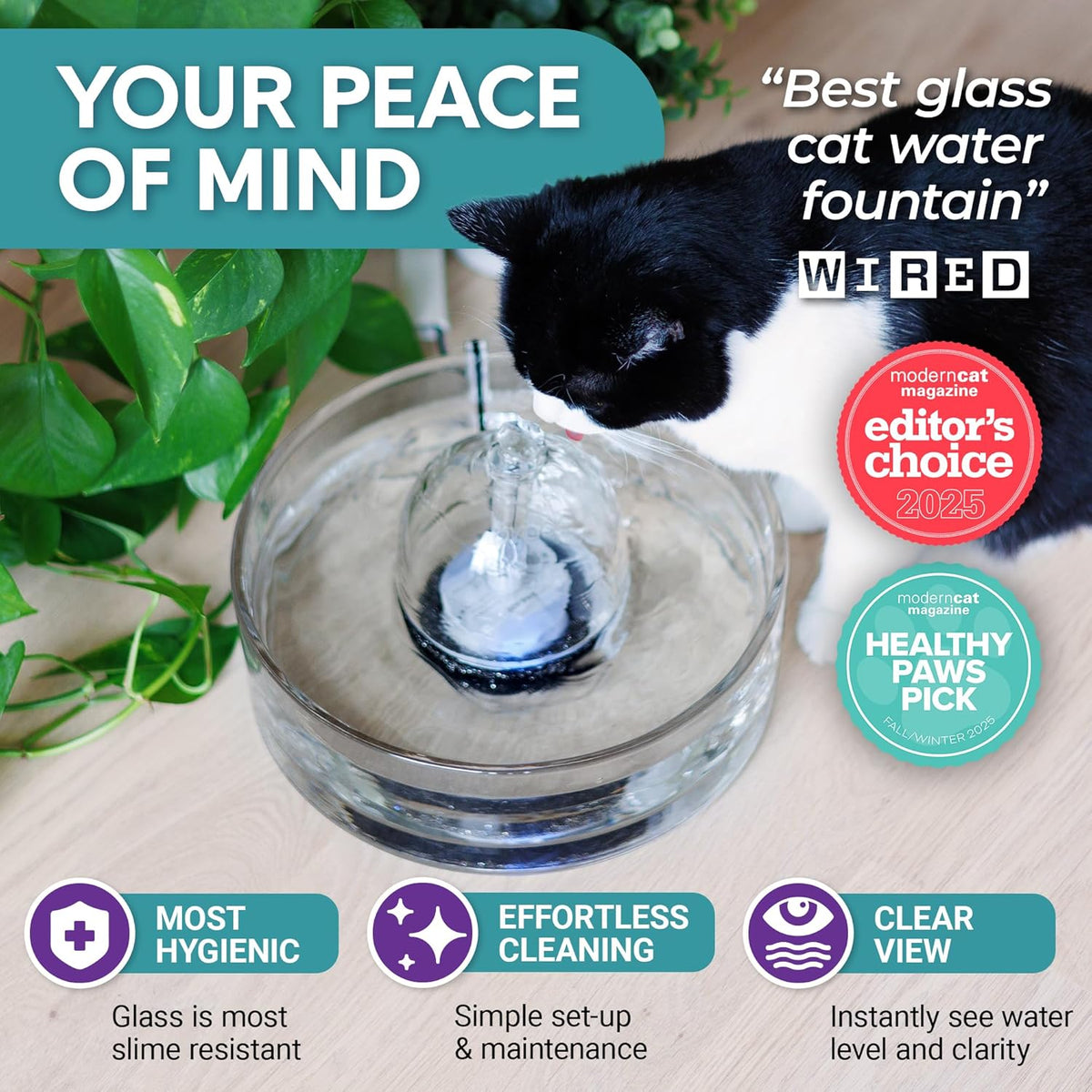 Side profile of Brook glass pet fountain showing 2.7 liter capacity