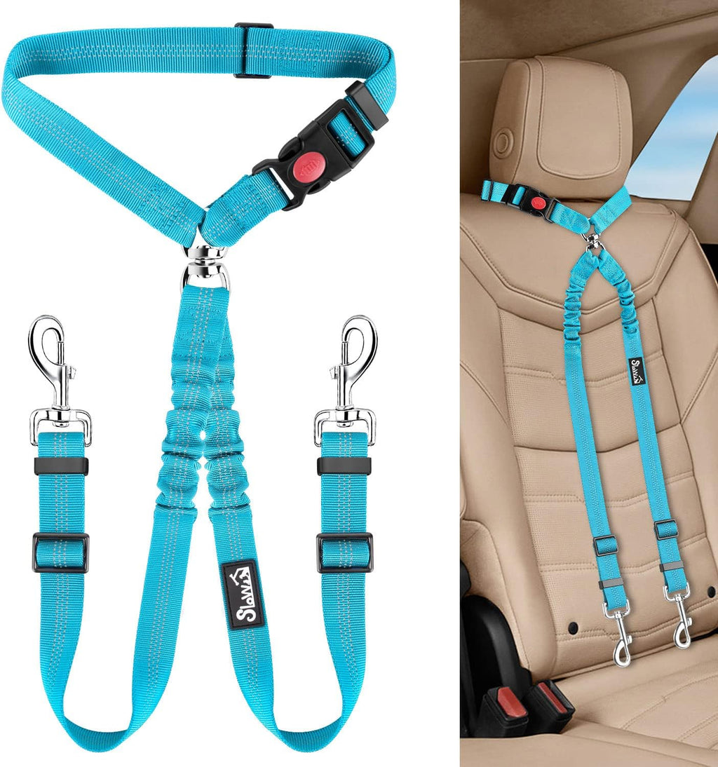 Lukovee double dog seat belt used as walking leash