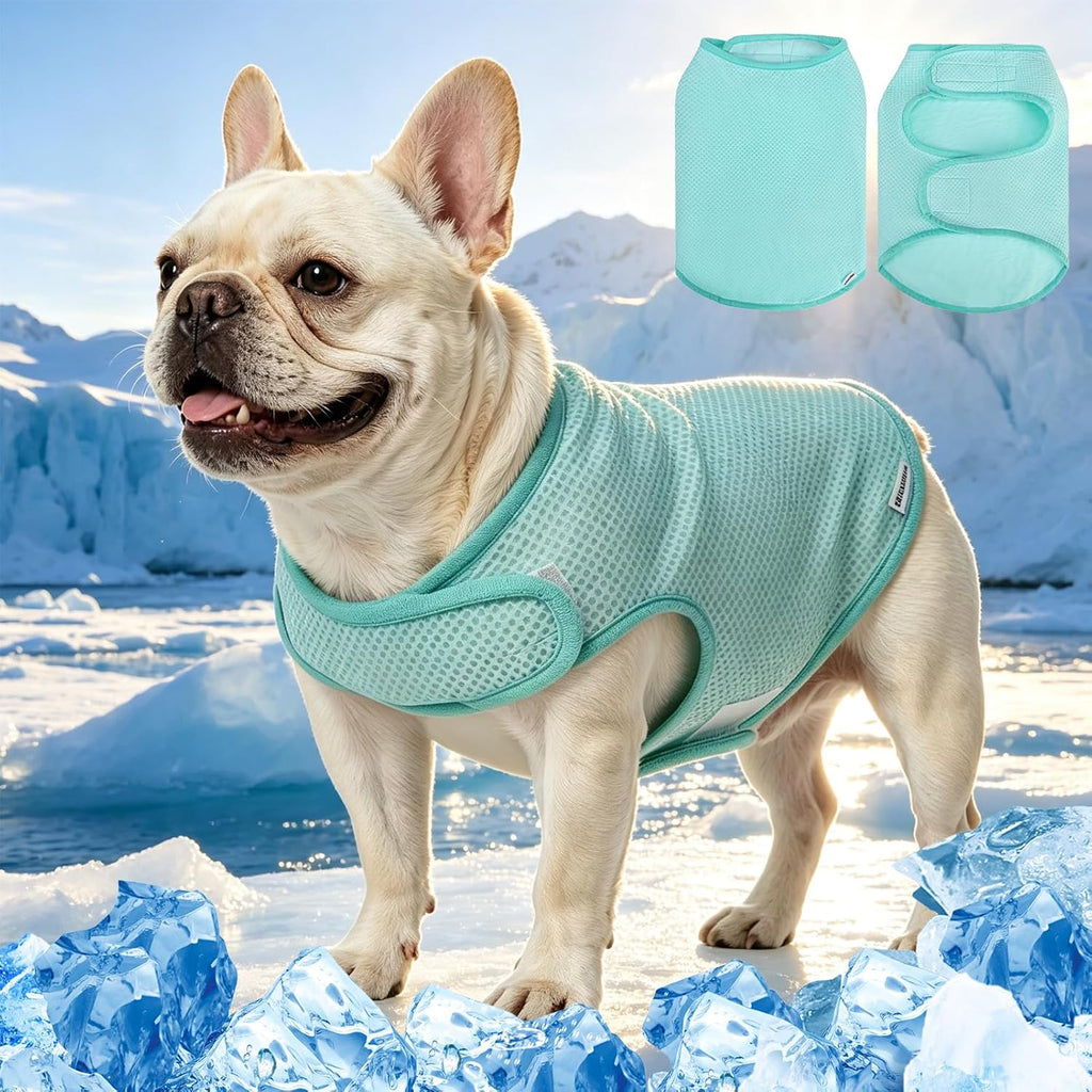 EXPAWLORER cooling dog vest front view on a dog walking outdoors