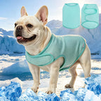 EXPAWLORER cooling dog vest front view on a dog walking outdoors