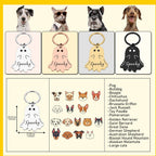Personalized Halloween style pet identification tags in gold and black finishes