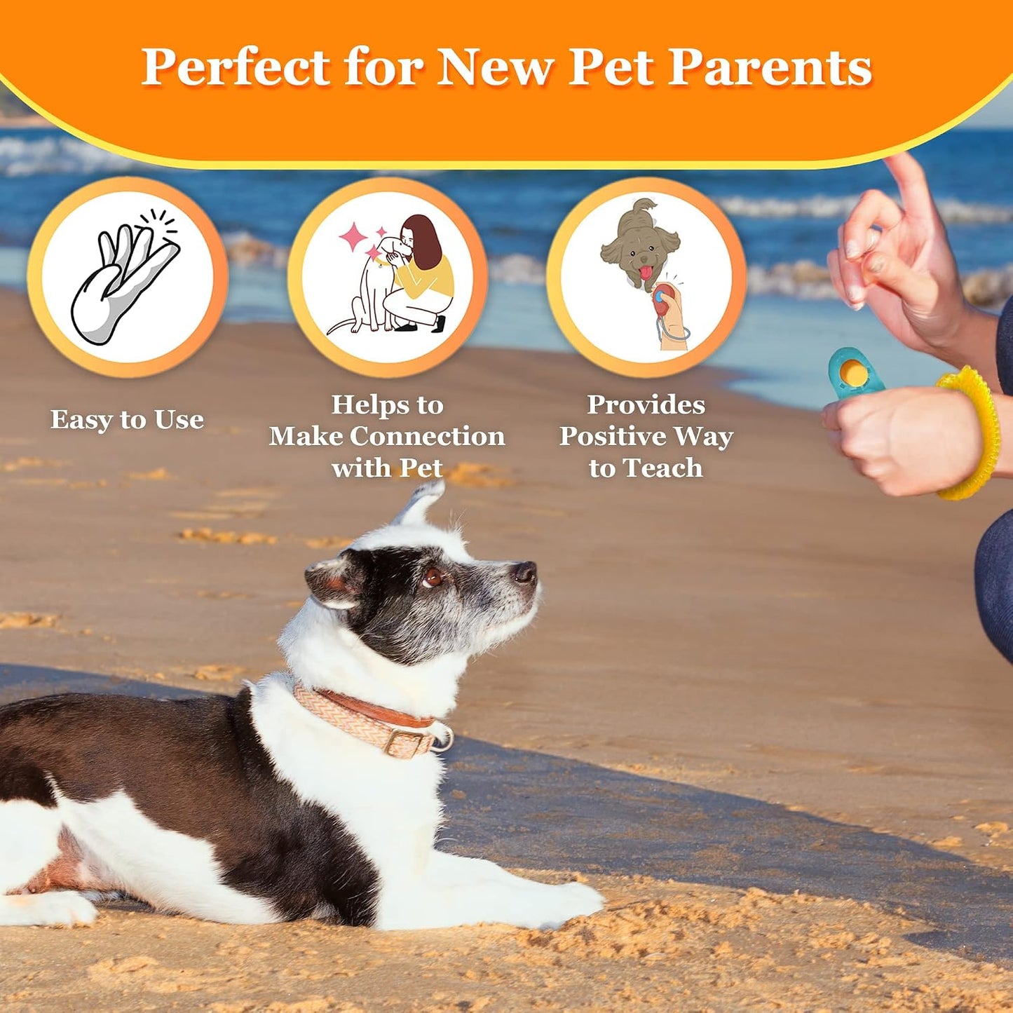 Handheld two inch pet communication tool sitting comfortably inside a palm.