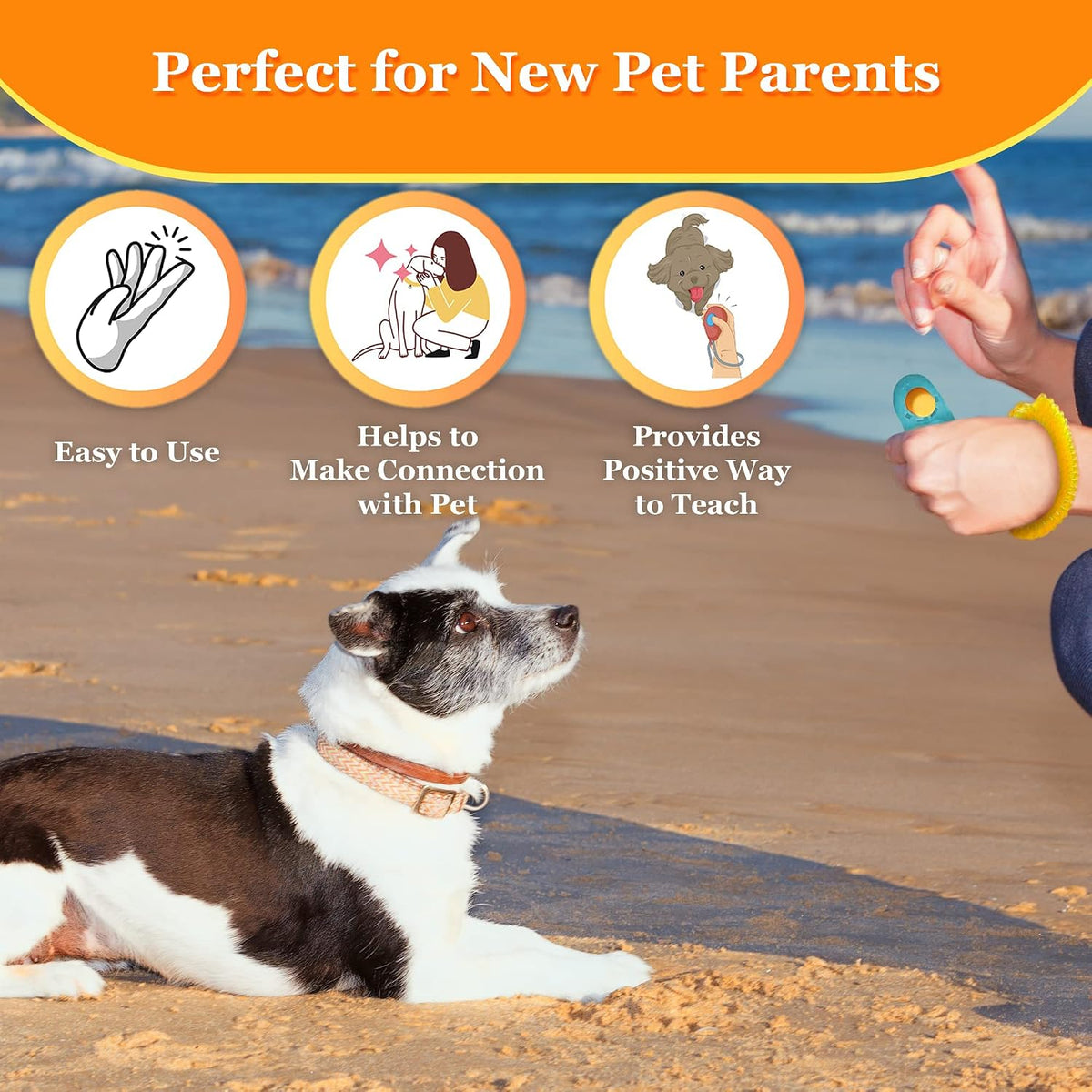 Handheld two inch pet communication tool sitting comfortably inside a palm.