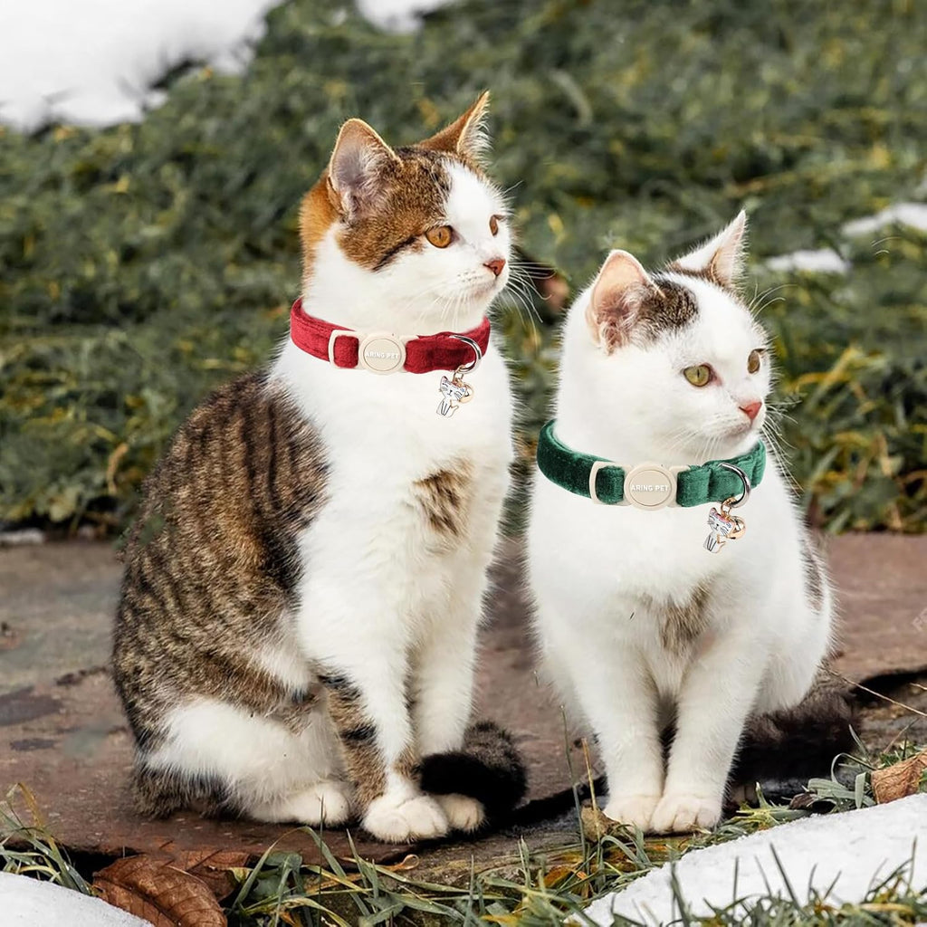 ARING PET festive kitten collar set demonstrating the lightweight fabric and soft texture.