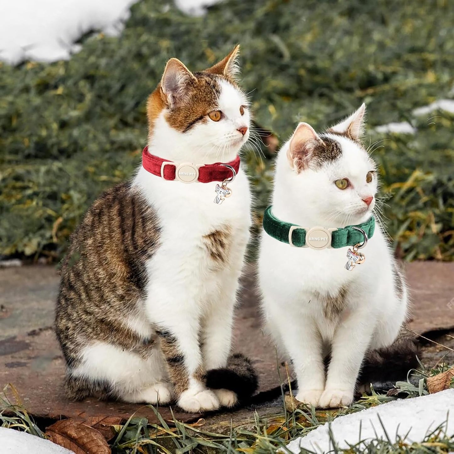 ARING PET festive kitten collar set demonstrating the lightweight fabric and soft texture.