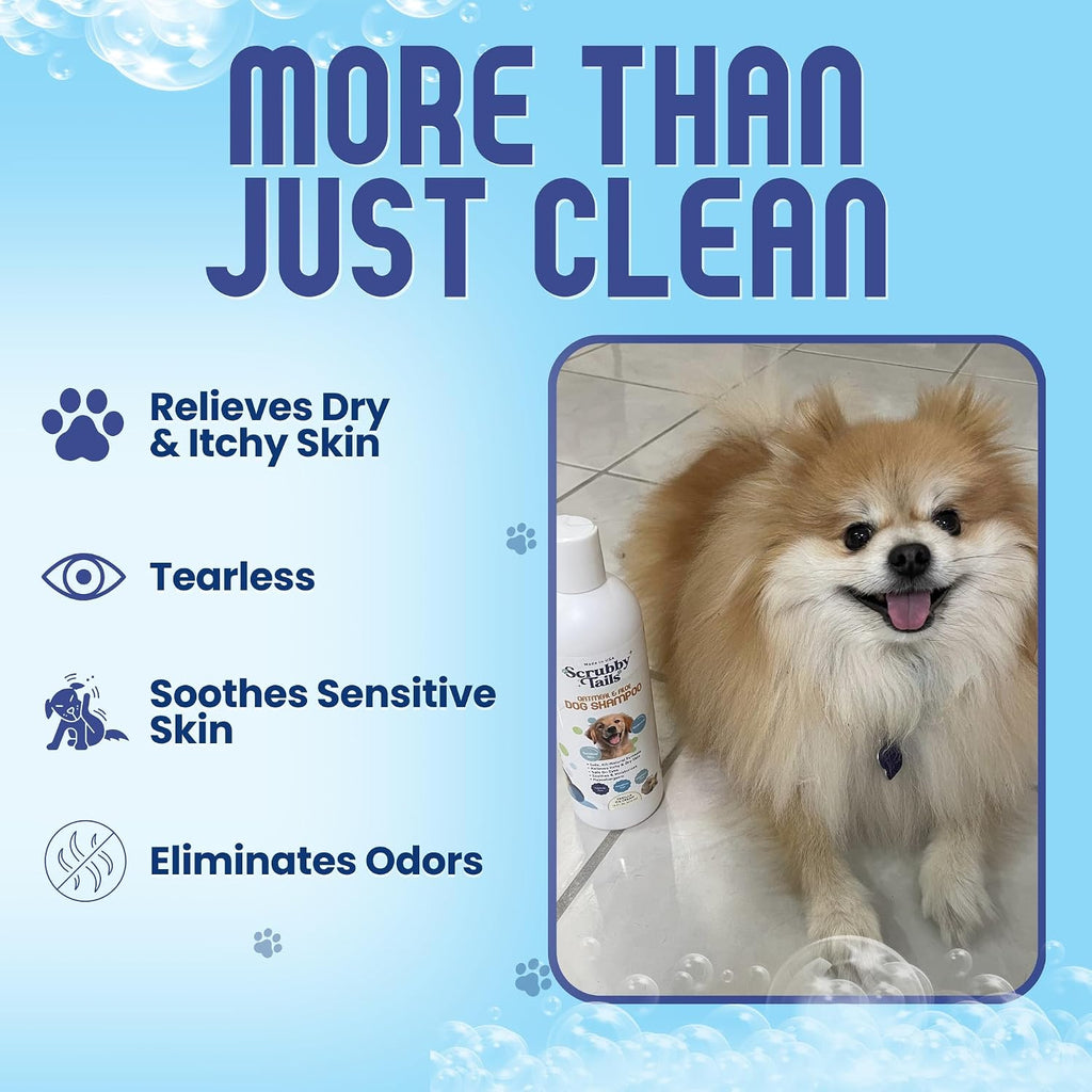 Dog with healthy coat after using oatmeal shampoo