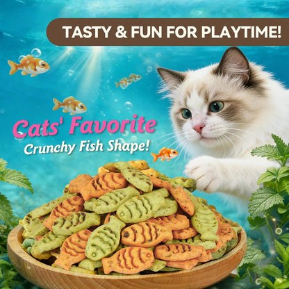 Back label of Puddonio cat biscuits displaying ingredients and feeding guidelines