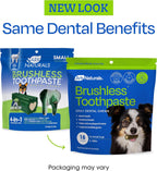 Medium breed dog enjoying an Ark Naturals dental chew treat