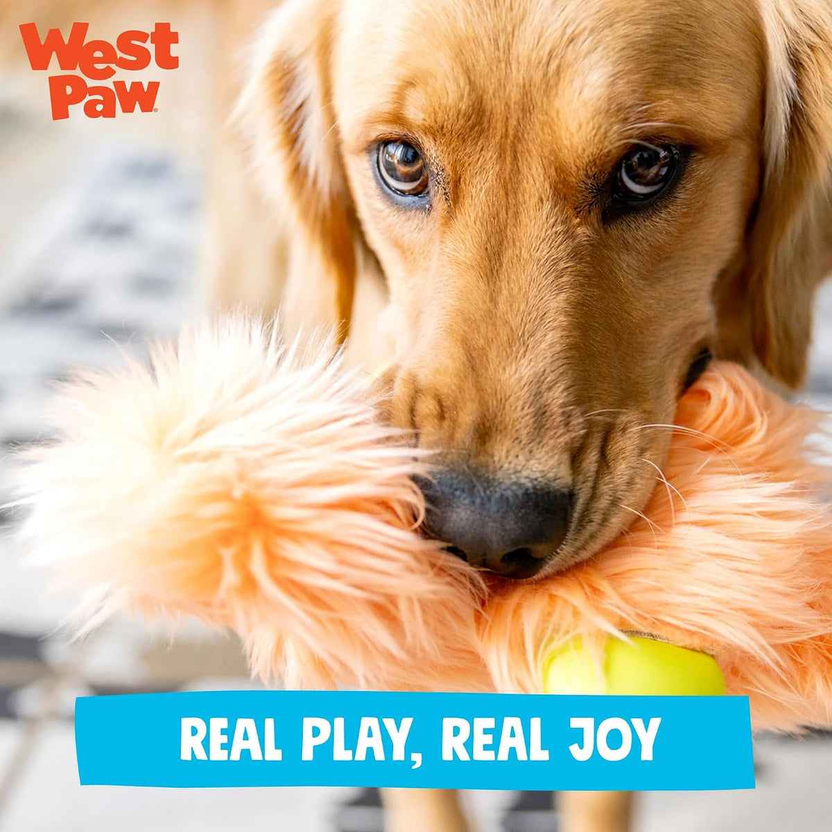WEST PAW Rowdies Rolf Durable Plush Dog Toy with HardyTex Reinforced Seams Engaging Squeaker with Soft Cuddly Exterior Hand Sewn and Finished in Bozeman Montana for Dogs - Seafoam - Image 8