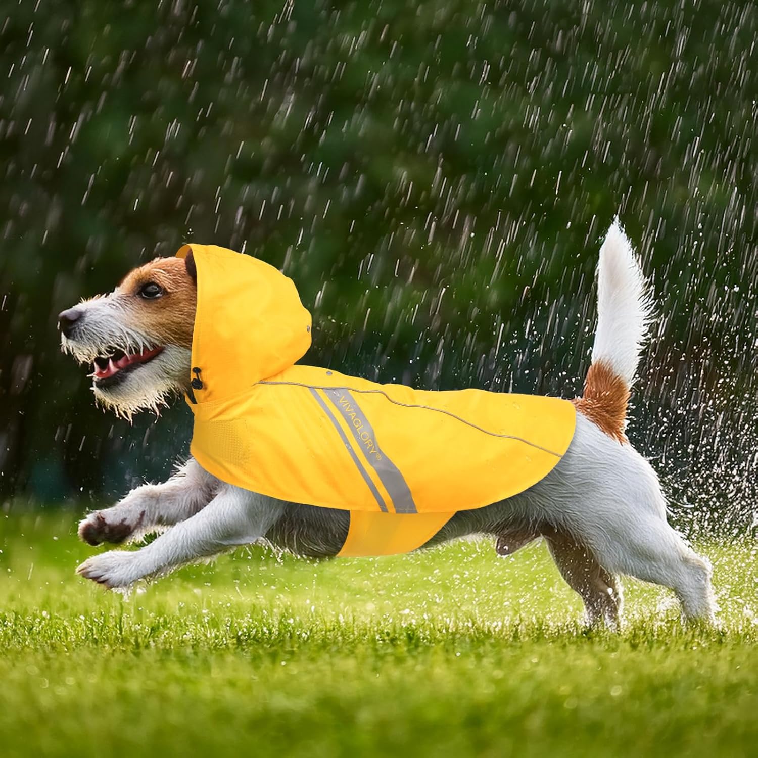 Vivaglory water repellent dog jacket for monsoon adventures