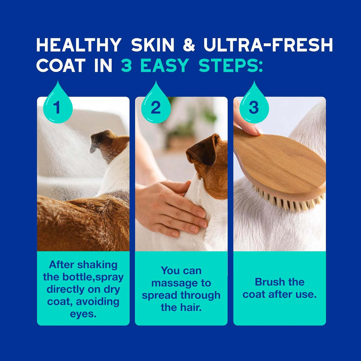 Professional grooming results using Douxo Spa dog spray